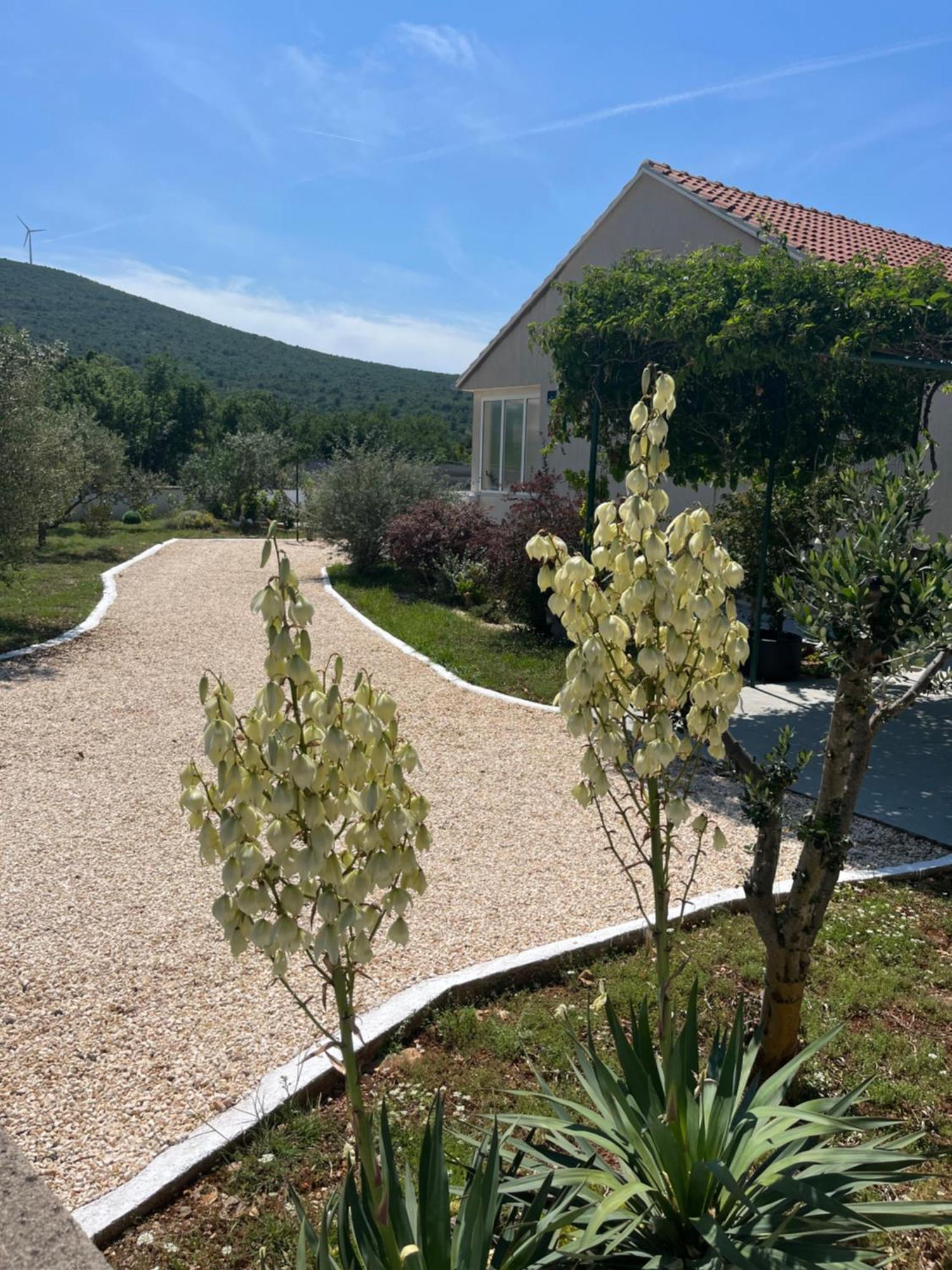 Mediterranean Olive Waterfallskrka-Croatia Villa Gulin Luaran gambar